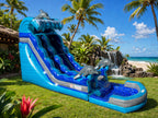 19 FT Dolphins Wave Water Slide.
