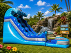 19 FT Dolphins Wave Water Slide.