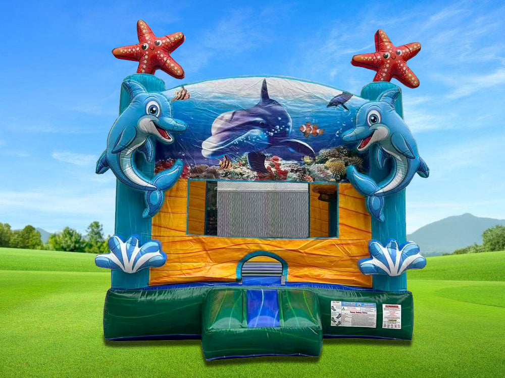 Under Sea Bouncer